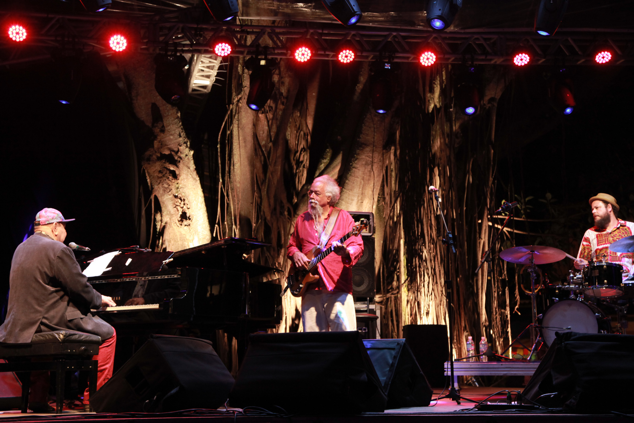 Ilhabela in Jazz - João Donato