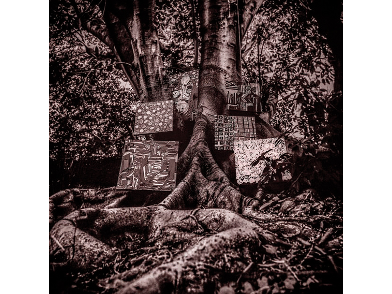 Harmony of Difference