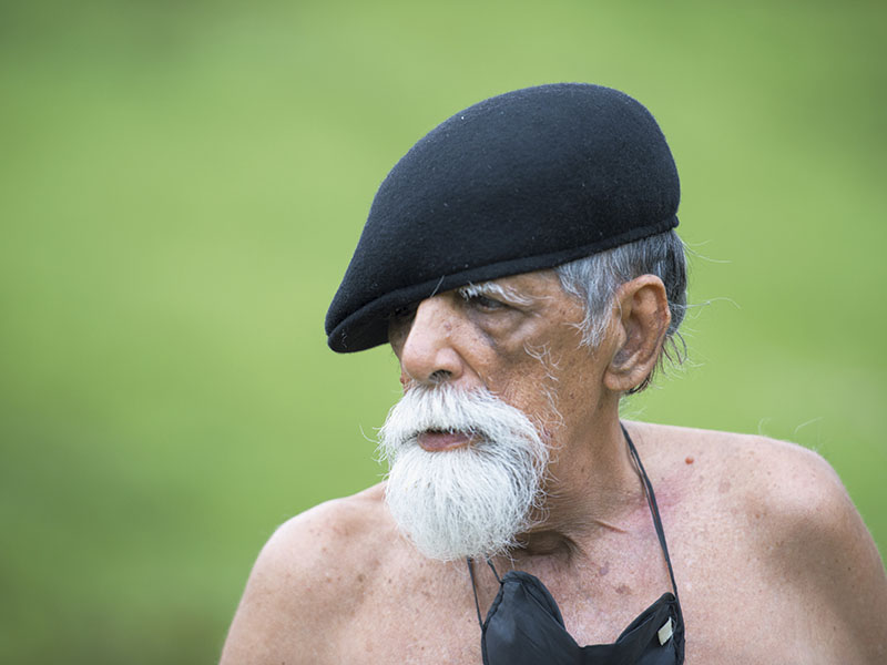 Rogério Duarte, o Tropikaoslista