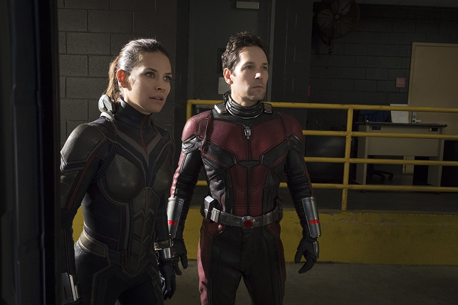 Evangeline Lilly e Paul Rudd em Homem-Formiga e a Vespa