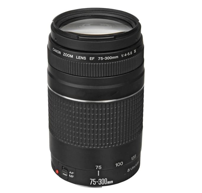 Crédito: Divulgação / Amazon