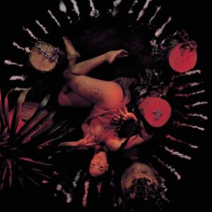 Reprodução / Amazon