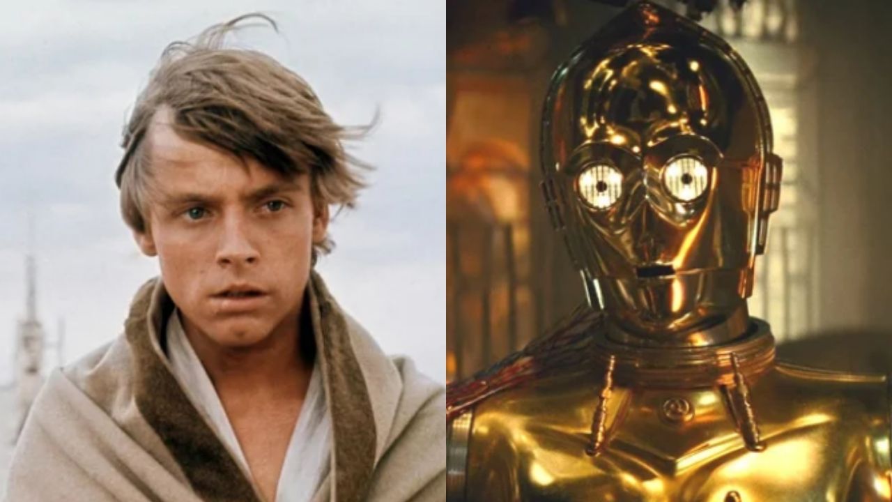 Montagem com Luke Skywalker e C-3PO (Foto: Reprodução)