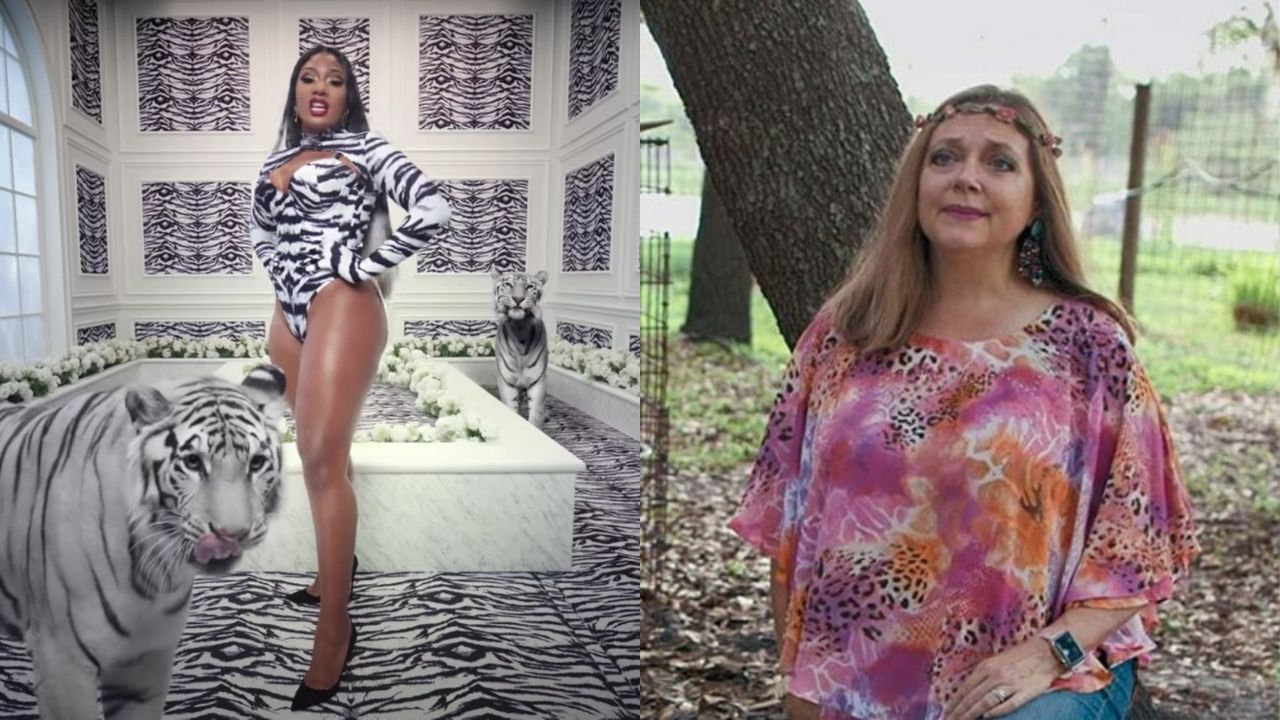 Montagem de clipe "WAP" e Carole Baskin (Foto: Reprodução)