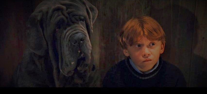 Rupert Grint como Ron Weasley em Harry Potter e a Pedra Filosofal (Foto: Reprodução)