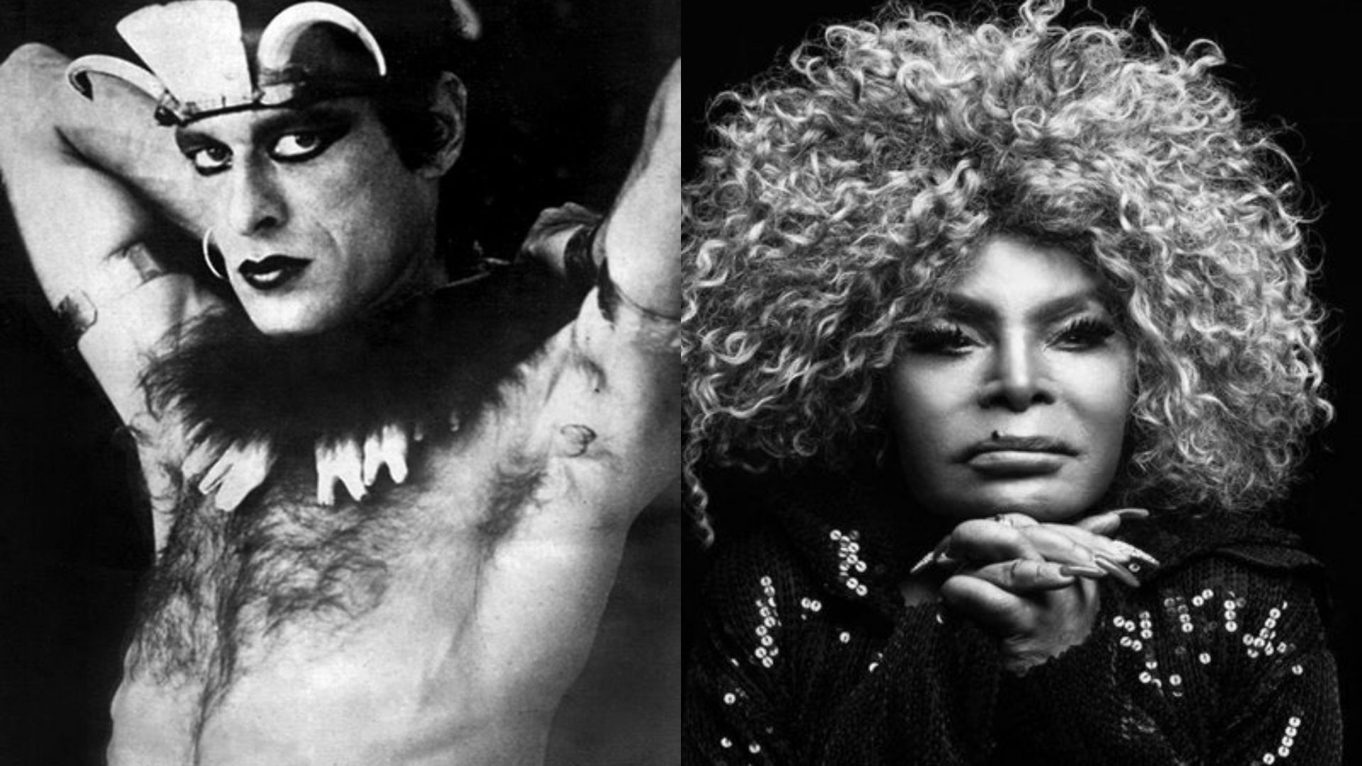 Ney Matogrosso (Foto: Reprodução / Twitter) / Cantora Elza Soares (Foto: Reprodução / Twitter)