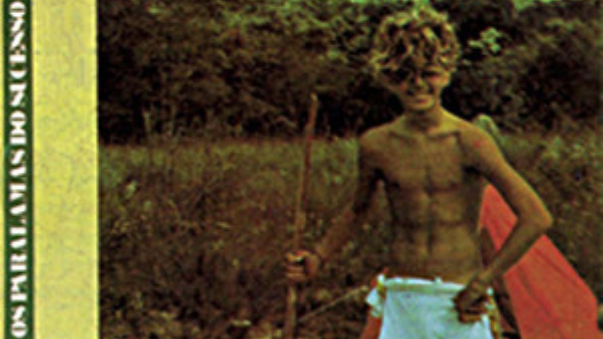 Os Paralamas do Sucesso