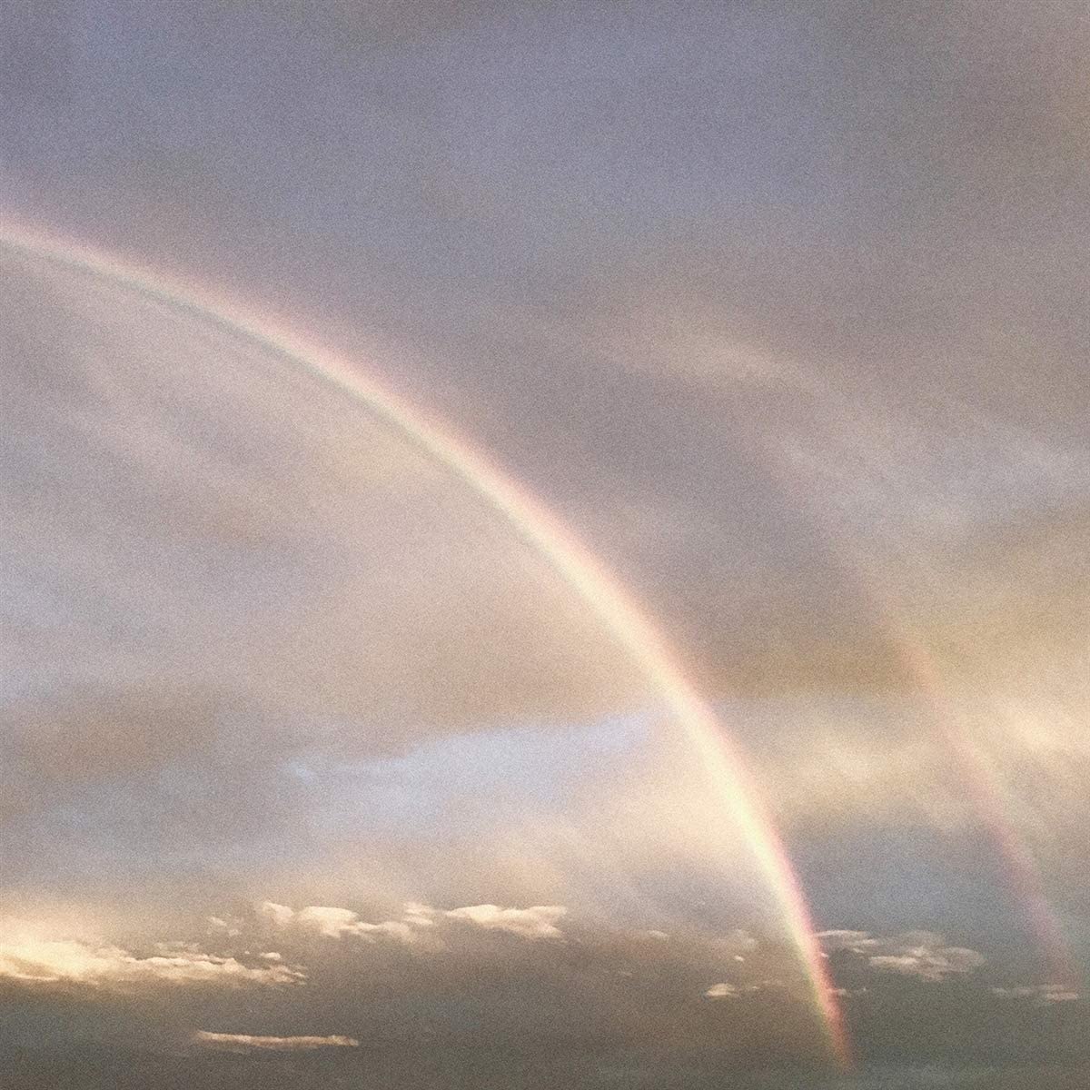 Reprodu&ccedil;&atilde;o / Amazon