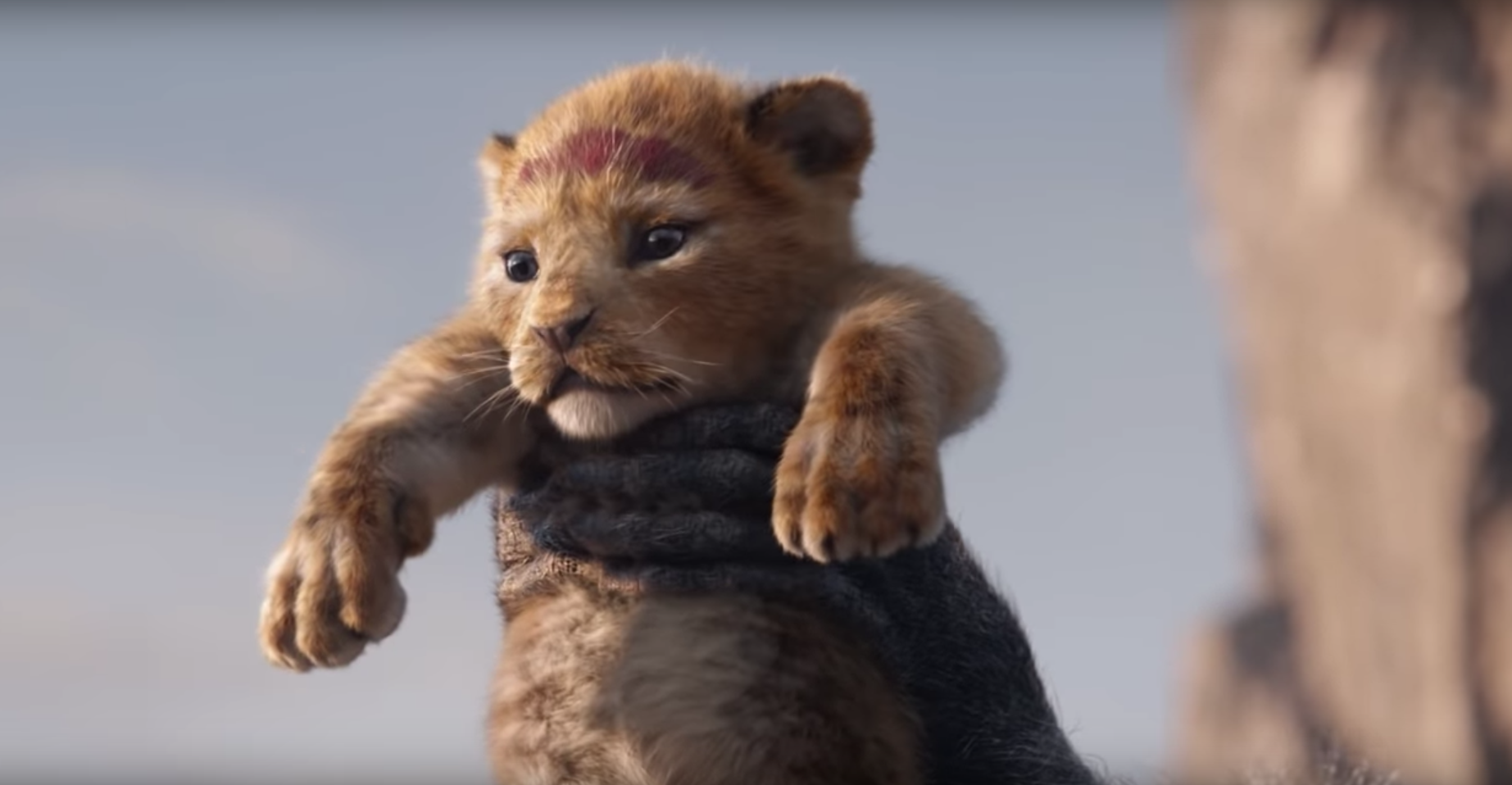 Simba no trailer de O Rei Leão (Foto:Reprodução)