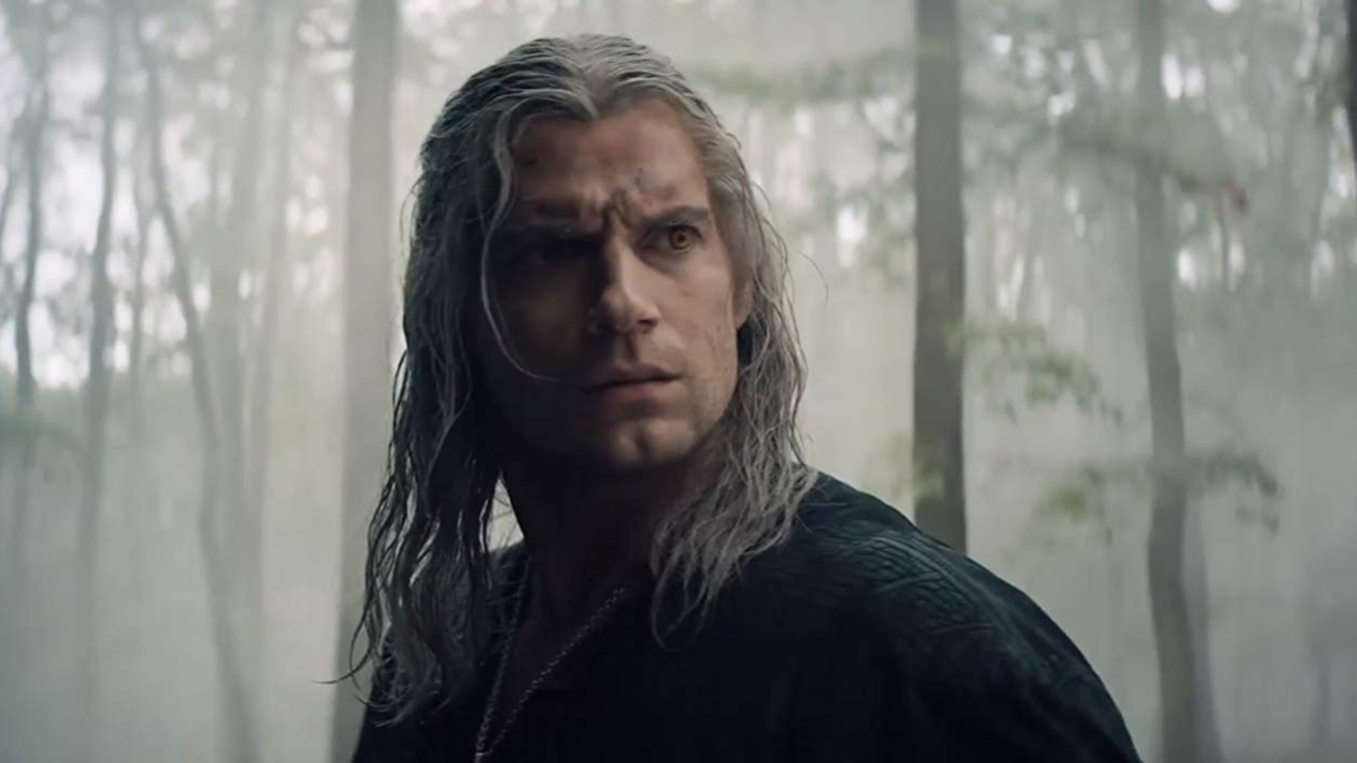 The Witcher (Foto: Reprodução/IMDb)