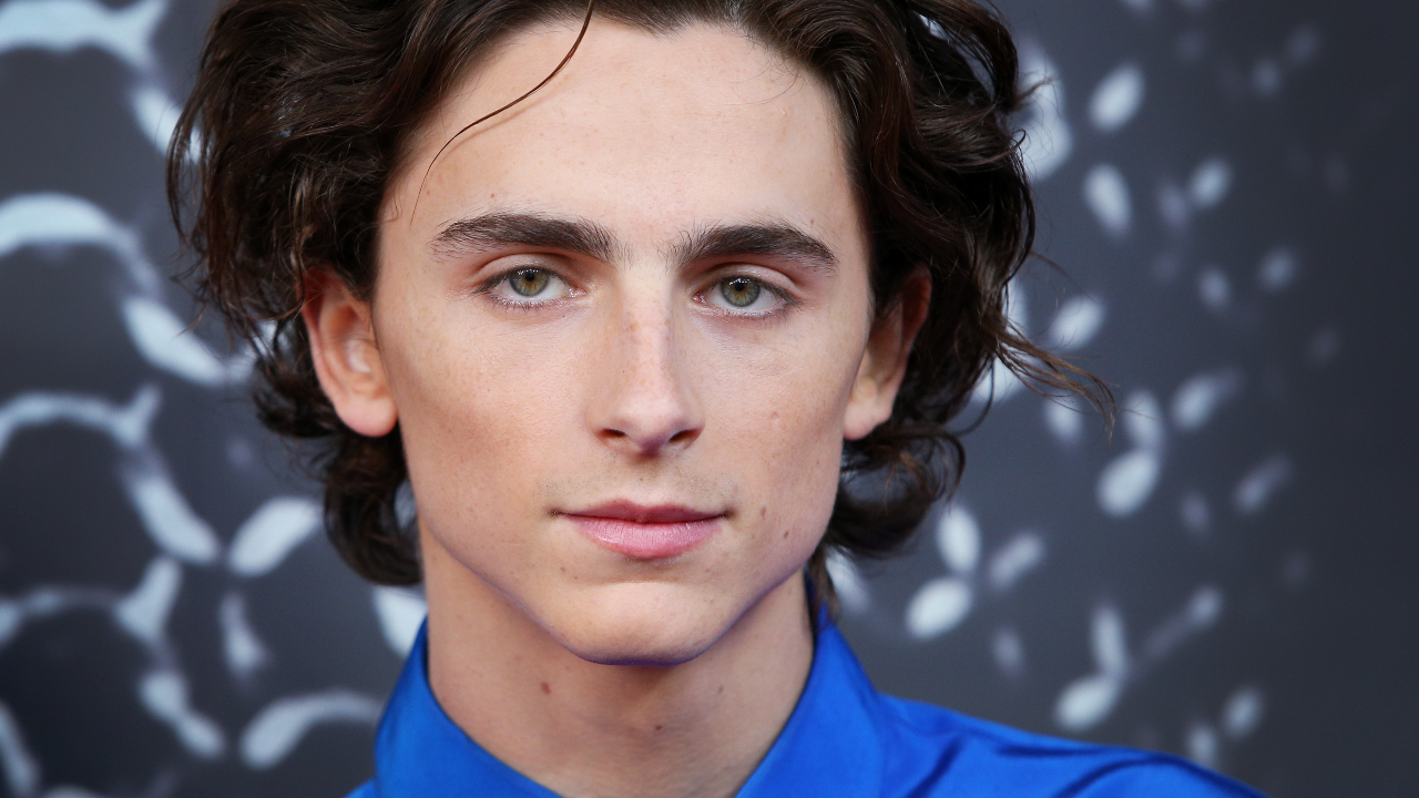 Timothée Chalamet durante a premiere australiana de O Rei ( Lisa Maree Williams/Getty Images)