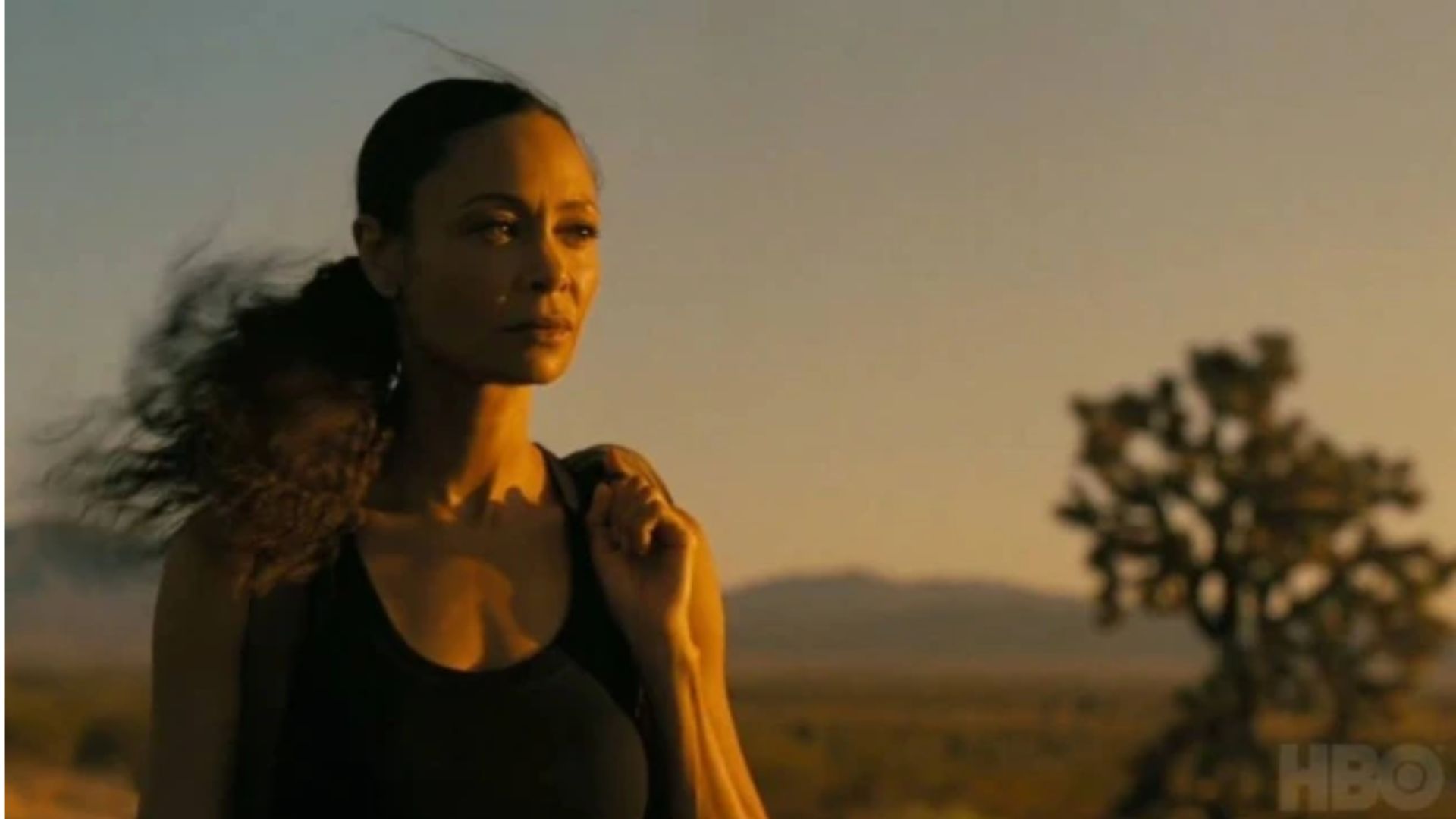 Trailer oficial da quarta temporada de Westworld mostra mundos surreais