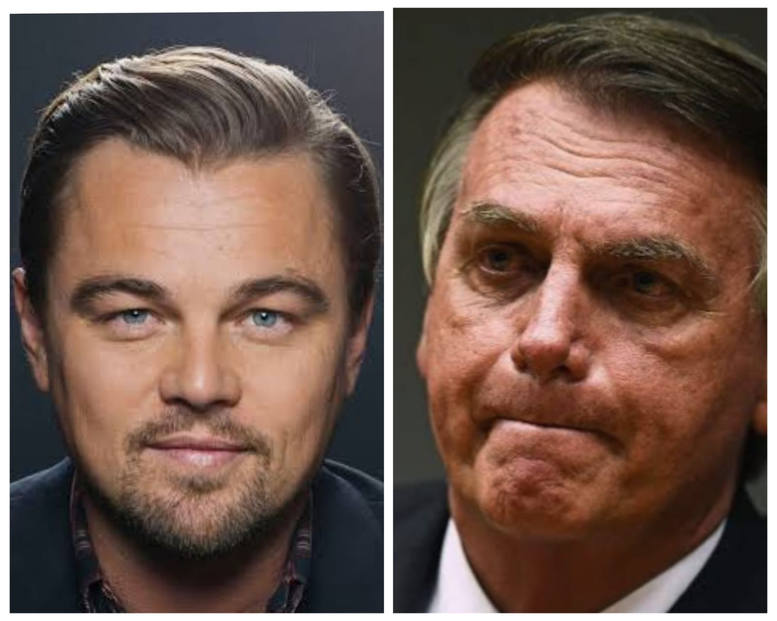 Leonardo DiCaprio e Jair Bolsonaro